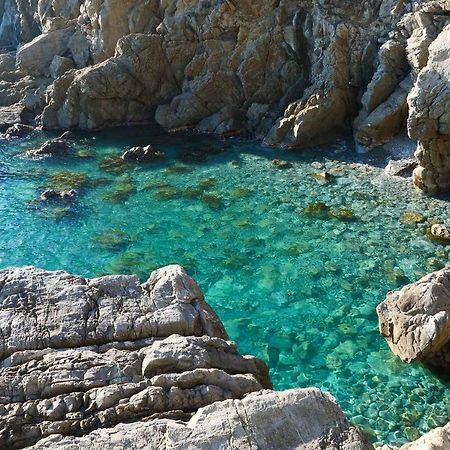 Il Cuore Di Moneglia - Moneglia Apartments Bagian luar foto