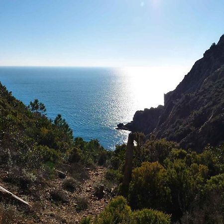 Il Cuore Di Moneglia - Moneglia Apartments Bagian luar foto