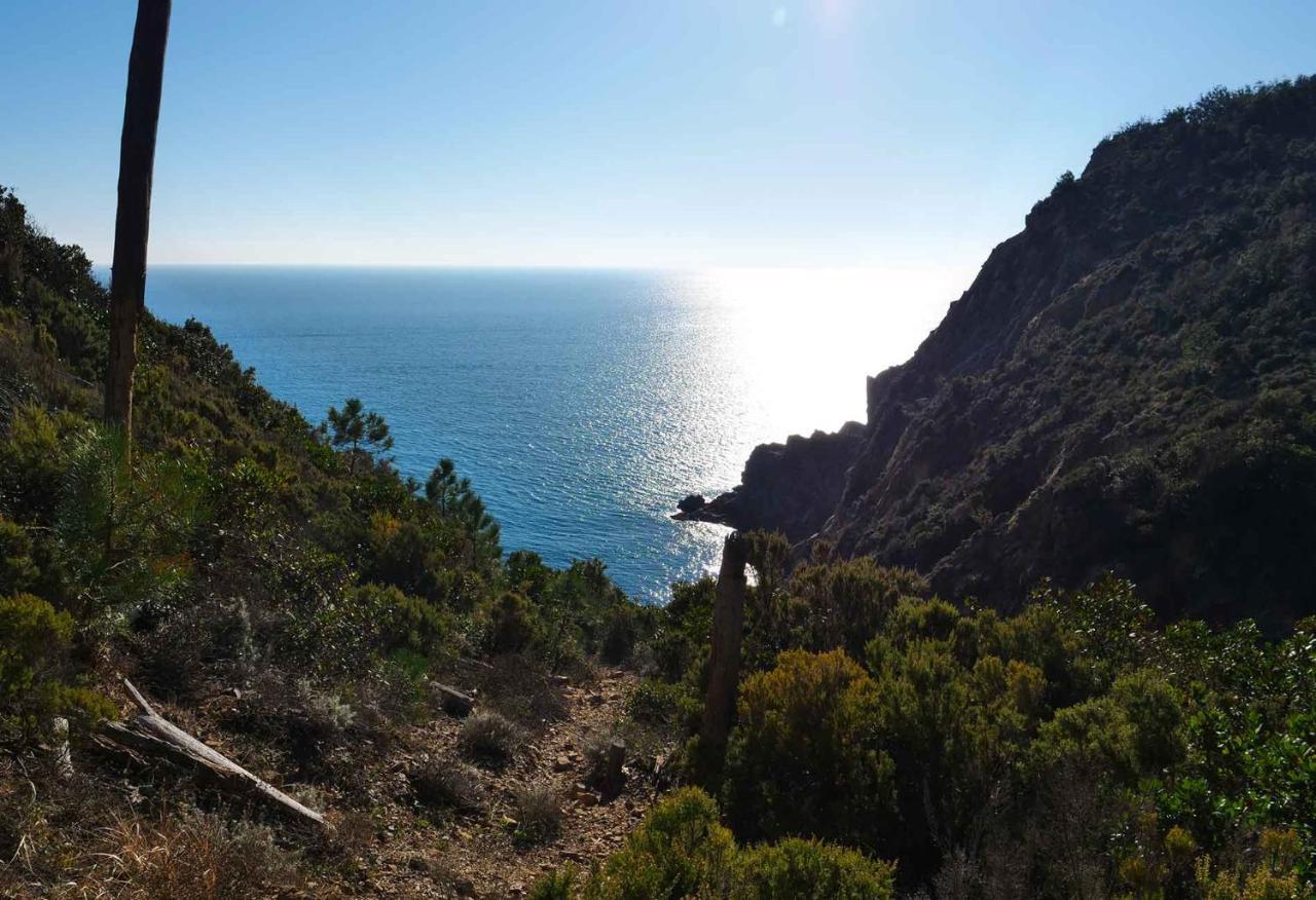 Il Cuore Di Moneglia - Moneglia Apartments Bagian luar foto