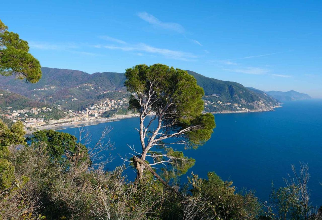 Il Cuore Di Moneglia - Moneglia Apartments Bagian luar foto